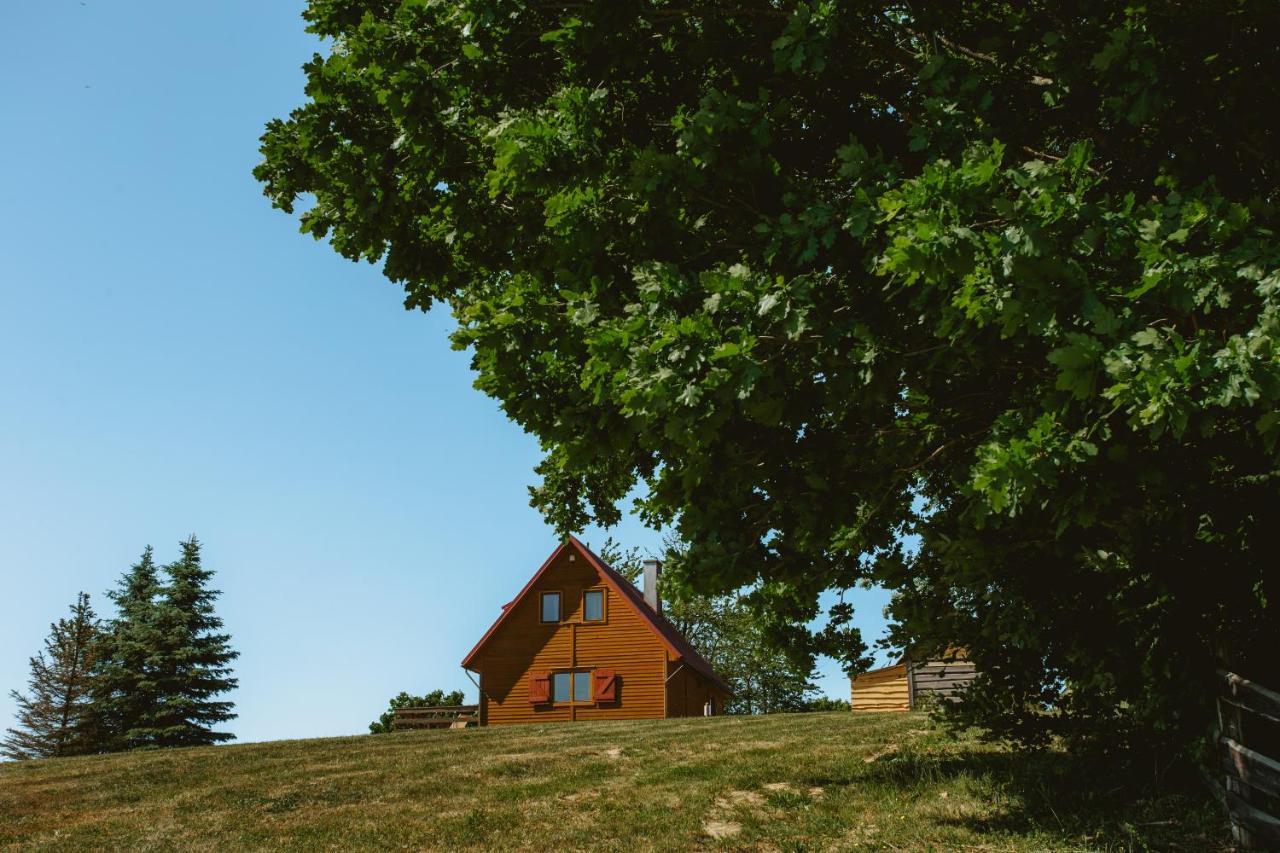 Widokowka Kaszuby Villa Mirachowo Exterior foto